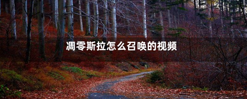 凋零斯拉怎么召唤的视频