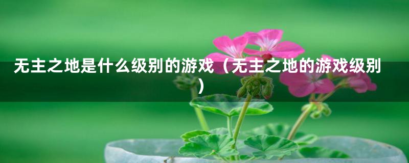 无主之地是什么级别的游戏(无主之地的游戏级别)