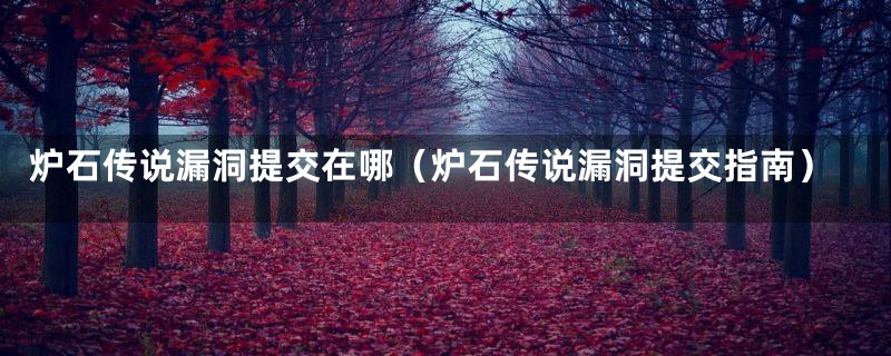炉石传说漏洞提交在哪(炉石传说漏洞提交指南)