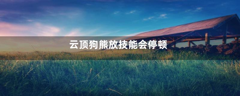 云顶狗熊放技能会停顿