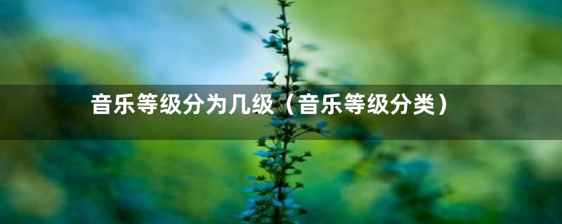 音乐等级分为几级(音乐等级分类)