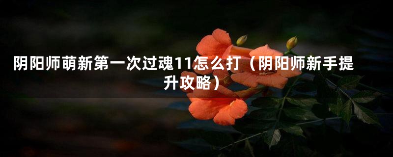 阴阳师萌新第一次过魂11怎么打(阴阳师新手提升攻略)