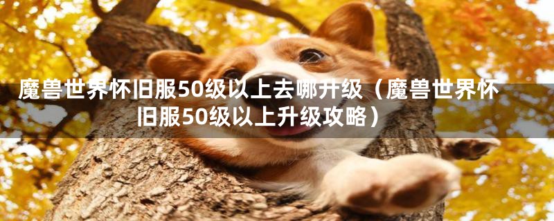 魔兽世界怀旧服50级以上去哪升级(魔兽世界怀旧服50级以上升级攻略)