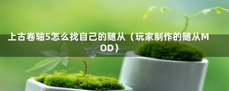 上古卷轴5怎么找自己的随从（玩家制作的随从MOD）