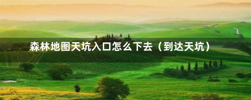 森林地图天坑入口怎么下去(到达天坑)