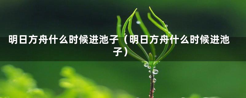 明日方舟什么时候进池子(明日方舟什么时候进池子)
