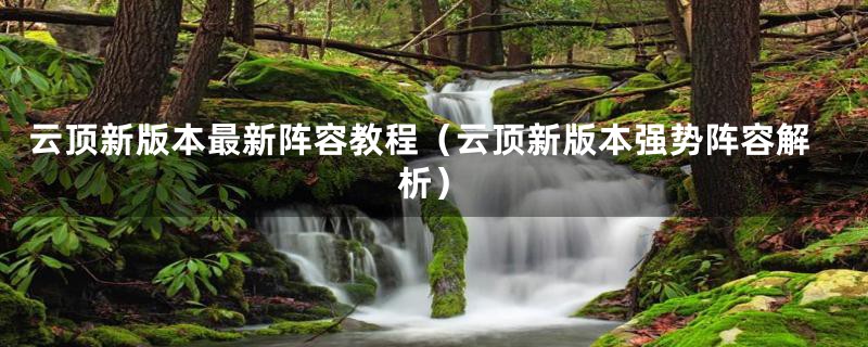 云顶新版本最新阵容教程(云顶新版本强势阵容解析)