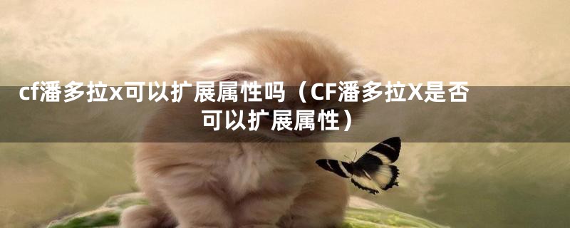 cf潘多拉x可以扩展属性吗(CF潘多拉X是否可以扩展属性)