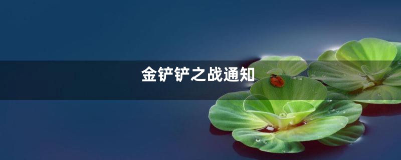 金铲铲之战通知