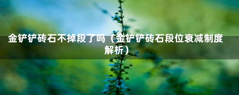 金铲铲砖石不掉段了吗(金铲铲砖石段位衰减制度解析)