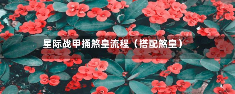 星际战甲捅煞皇流程（搭配煞皇）