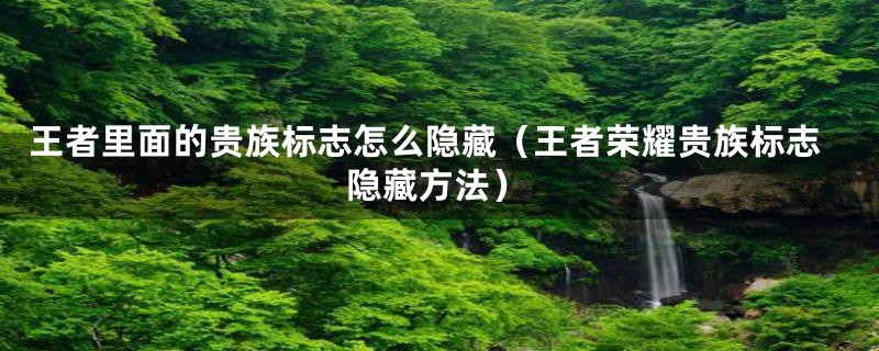 王者里面的贵族标志怎么隐藏(王者荣耀贵族标志隐藏方法)