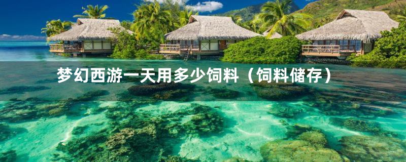 梦幻西游一天用多少饲料（饲料储存）