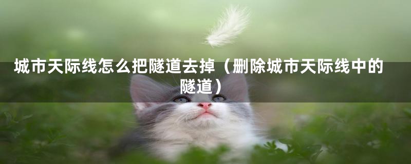 城市天际线怎么把隧道去掉(删除城市天际线中的隧道)