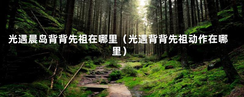 光遇晨岛背背先祖在哪里(光遇背背先祖动作在哪里)