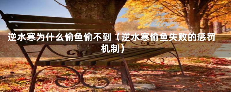 逆水寒为什么偷鱼偷不到(逆水寒偷鱼失败的惩罚机制)