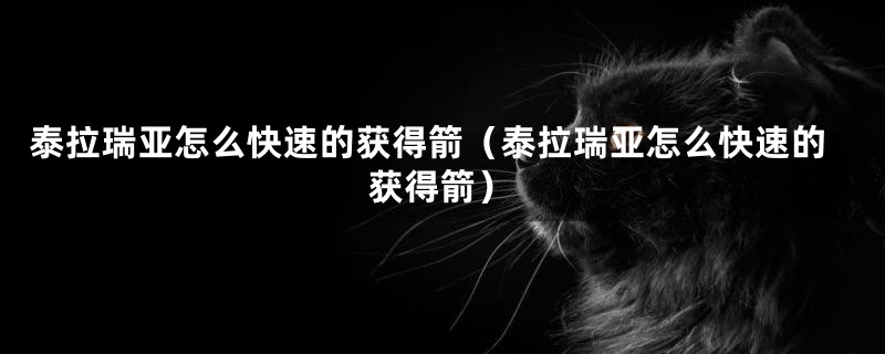 泰拉瑞亚怎么快速的获得箭（泰拉瑞亚怎么快速的获得箭）