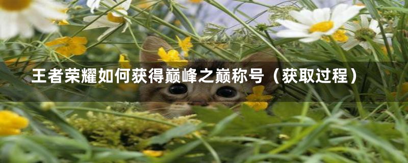 王者荣耀如何获得巅峰之巅称号（获取过程）