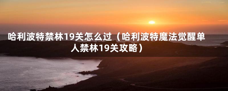 哈利波特禁林19关怎么过(哈利波特魔法觉醒单人禁林19关攻略)