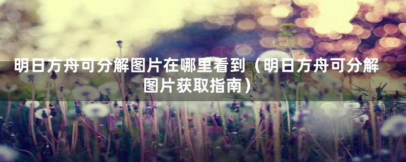 明日方舟可分解图片在哪里看到(明日方舟可分解图片获取指南)
