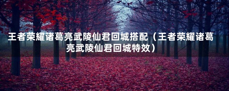 王者荣耀诸葛亮武陵仙君回城搭配(王者荣耀诸葛亮武陵仙君回城特效)