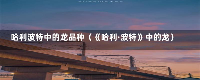 哈利波特中的龙品种(《哈利·波特》中的龙)