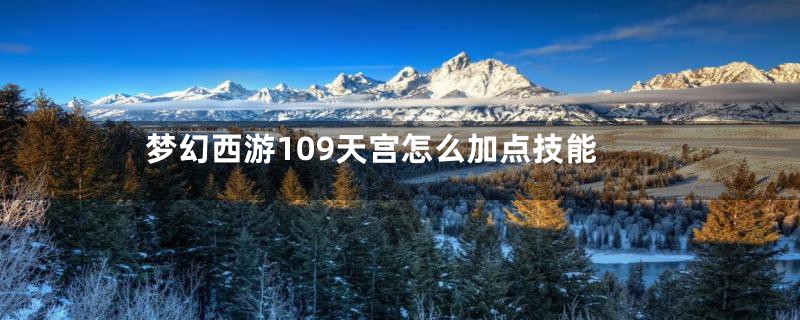 梦幻西游109天宫怎么加点技能