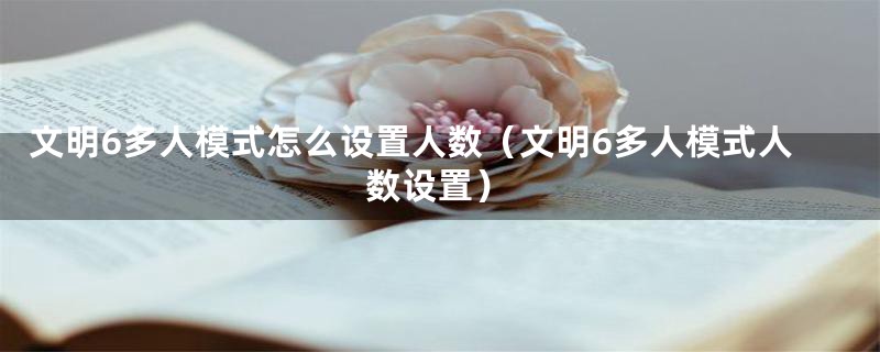 文明6多人模式怎么设置人数(文明6多人模式人数设置)