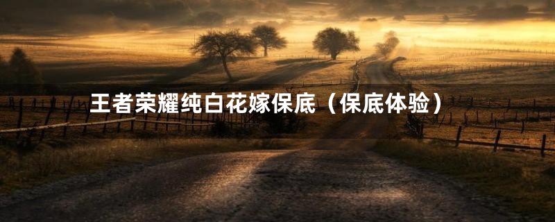 王者荣耀纯白花嫁保底(保底体验)