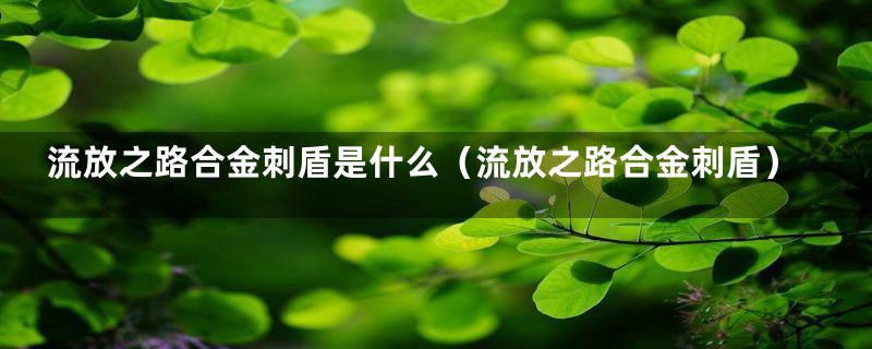 流放之路合金刺盾是什么(流放之路合金刺盾)