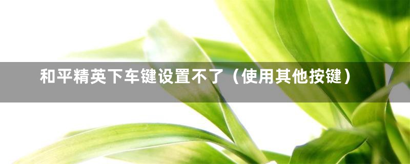 和平精英下车键设置不了(使用其他按键)