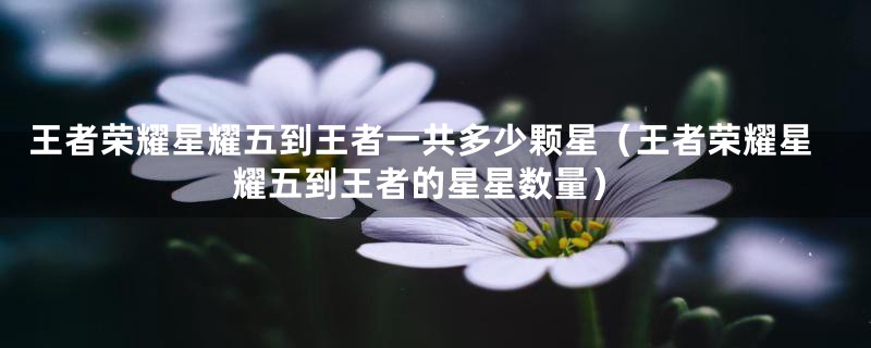 王者荣耀星耀五到王者一共多少颗星(王者荣耀星耀五到王者的星星数量)