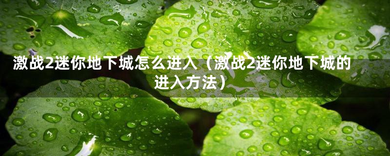 激战2迷你地下城怎么进入（激战2迷你地下城的进入方法）