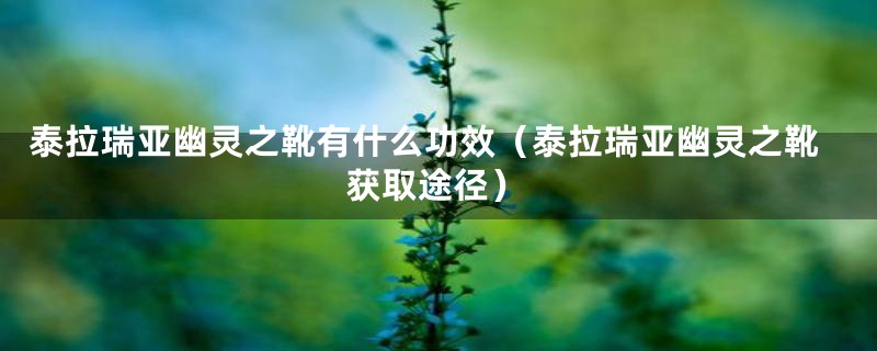 泰拉瑞亚幽灵之靴有什么功效(泰拉瑞亚幽灵之靴获取途径)