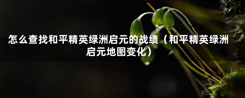 怎么查找和平精英绿洲启元的战绩(和平精英绿洲启元地图变化)