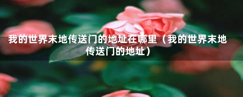 我的世界末地传送门的地址在哪里(我的世界末地传送门的地址)