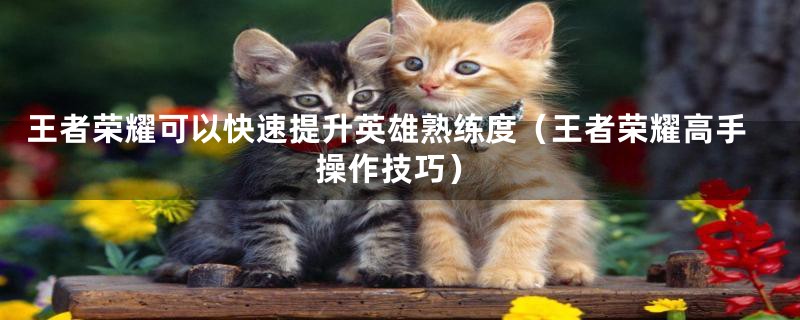 王者荣耀可以快速提升英雄熟练度（王者荣耀高手操作技巧）