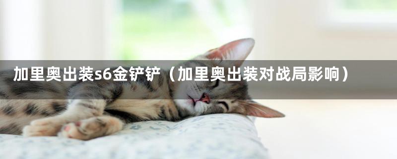 加里奥出装s6金铲铲（加里奥出装对战局影响）