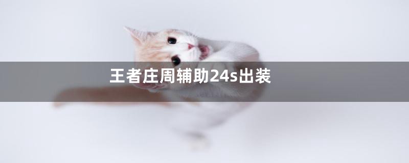 王者庄周辅助24s出装