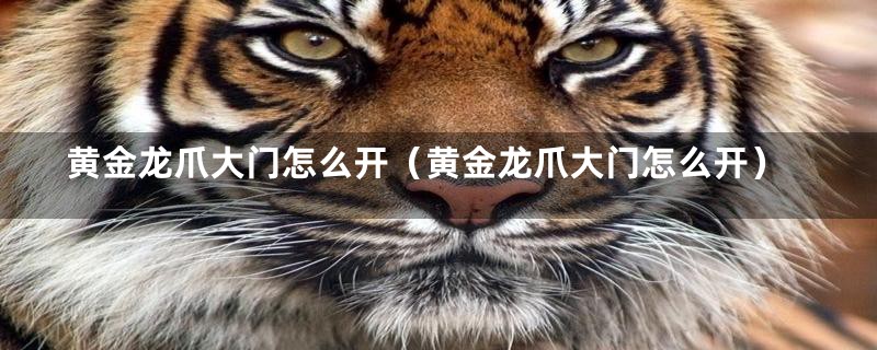 黄金龙爪大门怎么开(黄金龙爪大门怎么开)