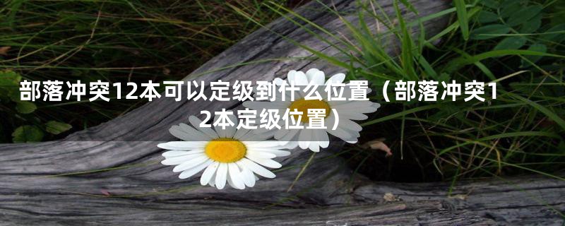 部落冲突12本可以定级到什么位置(部落冲突12本定级位置)