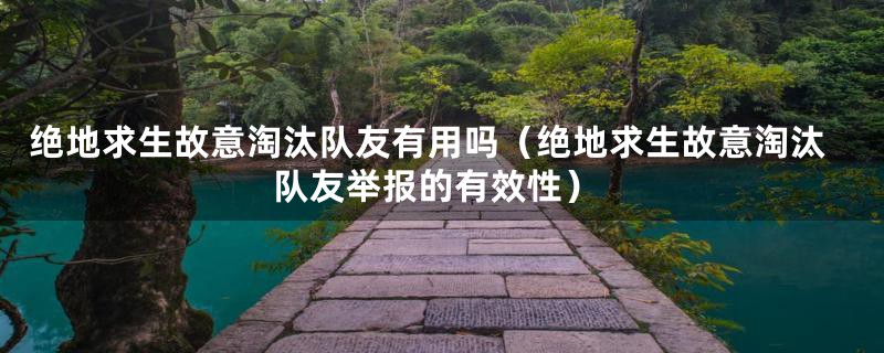 绝地求生故意淘汰队友有用吗(绝地求生故意淘汰队友举报的有效性)