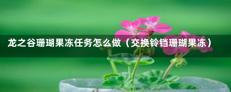 龙之谷珊瑚果冻任务怎么做(交换铃铛珊瑚果冻)