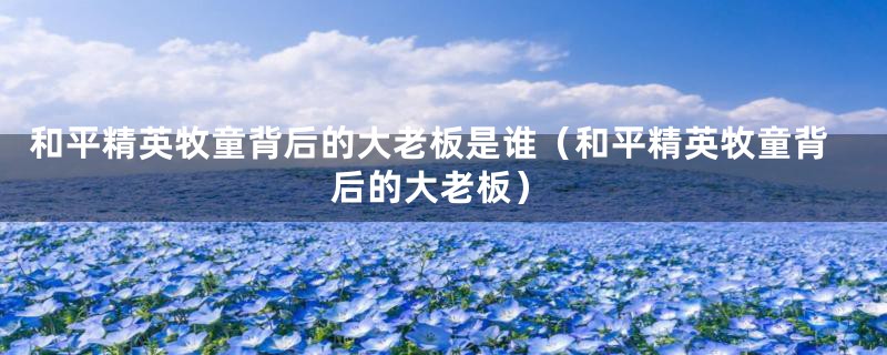 和平精英牧童背后的大老板是谁(和平精英牧童背后的大老板)