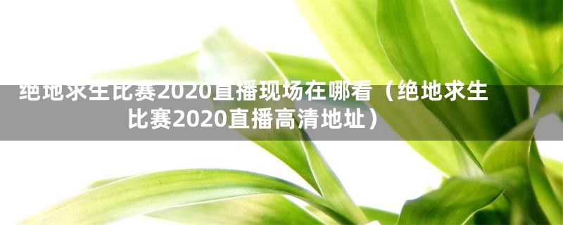 绝地求生比赛2020直播现场在哪看(绝地求生比赛2020直播高清地址)