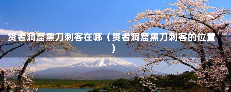 贤者洞窟黑刀刺客在哪(贤者洞窟黑刀刺客的位置)