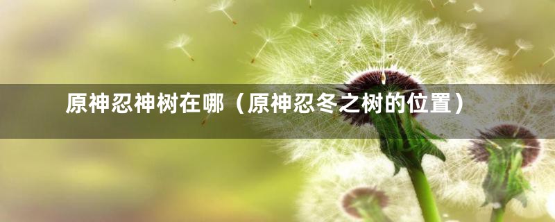 原神忍神树在哪(原神忍冬之树的位置)