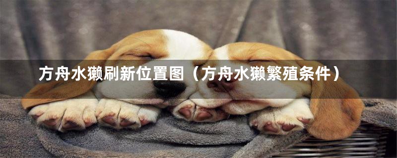 方舟水獭刷新位置图(方舟水獭繁殖条件)