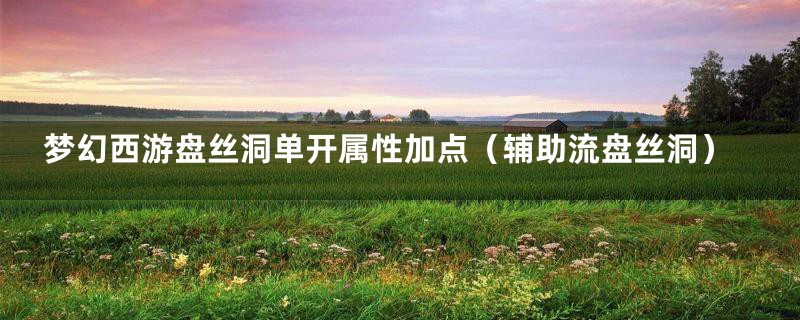 梦幻西游盘丝洞单开属性加点(辅助流盘丝洞)