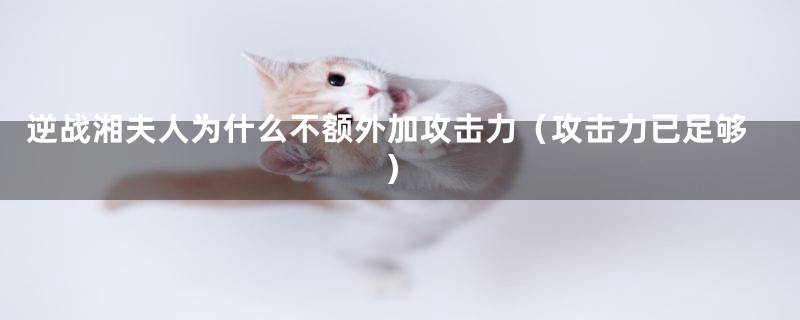逆战湘夫人为什么不额外加攻击力(攻击力已足够)